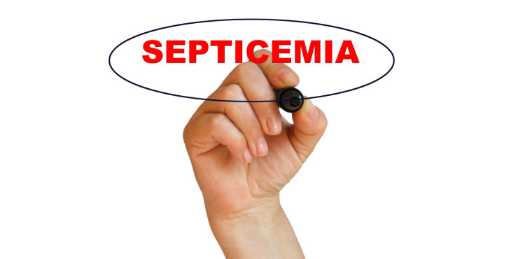 septicemia